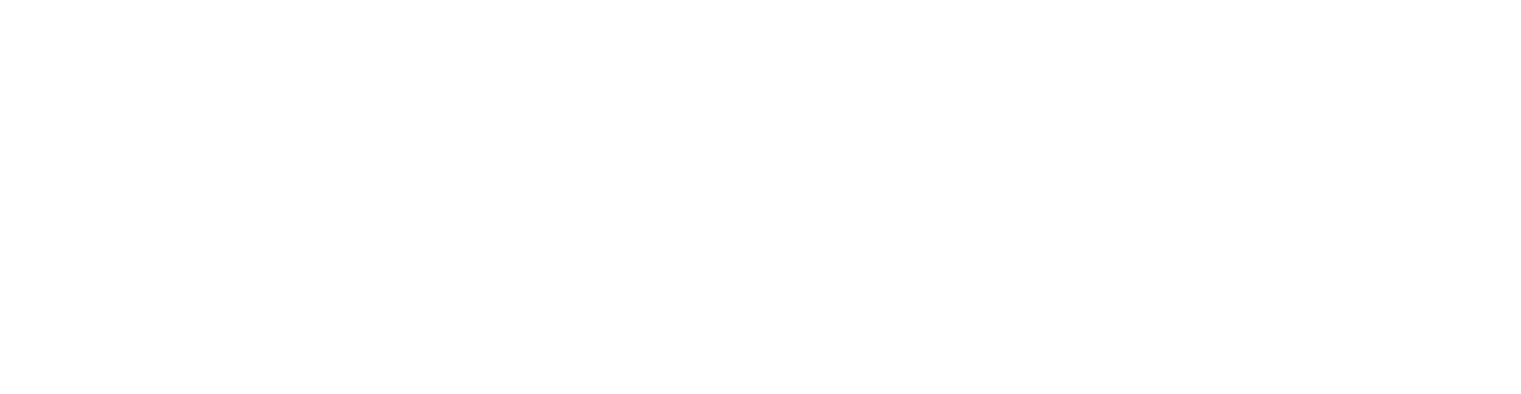 P&Partners Logo